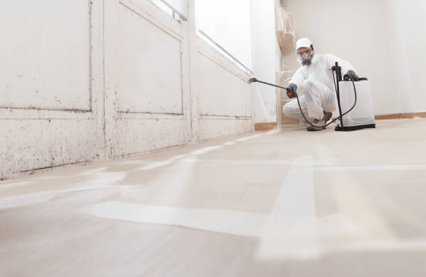 24/7 Emergency Mold Remediation experts in Clarksburg, MD