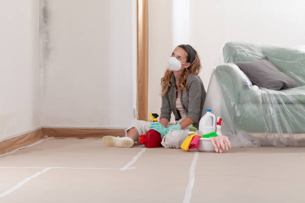 Reliable Mold Remediation contractor in Clarksburg, MD by Car Mold Remediation